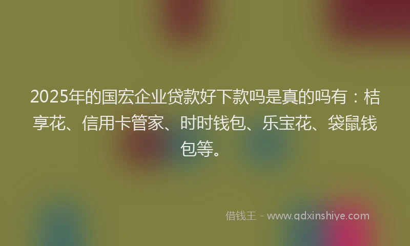 2025年的国宏企业贷款好下款吗是真的吗有：桔享花、信用卡管家、时时钱包、乐宝花、袋鼠钱包等。