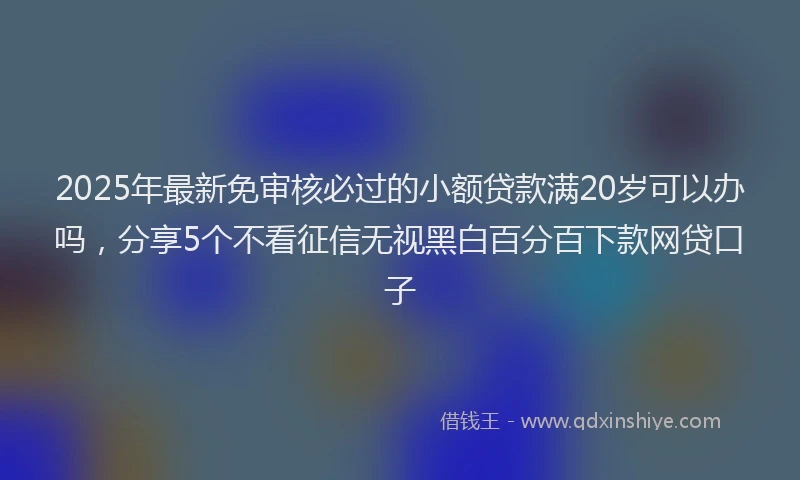 2025年最新免审核必过的小额贷款满20岁可以办吗，分享5个不看征信无视黑白百分百下款网贷口子