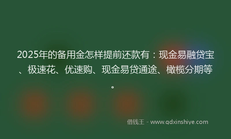 2025年的备用金怎样提前还款有：现金易融贷宝、极速花、优速购、现金易贷通途、橄榄分期等。