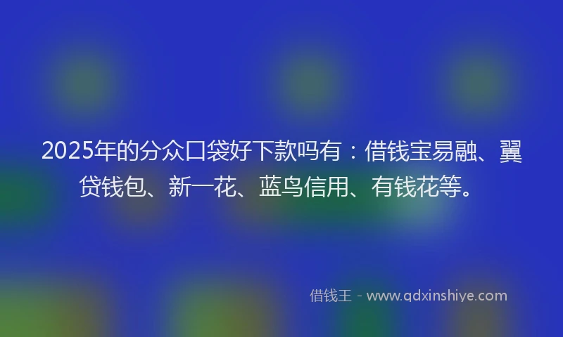2025年的分众口袋好下款吗有：借钱宝易融、翼贷钱包、新一花、蓝鸟信用、有钱花等。