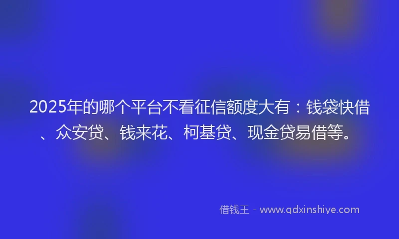 2025年的哪个平台不看征信额度大有：钱袋快借、众安贷、钱来花、柯基贷、现金贷易借等。
