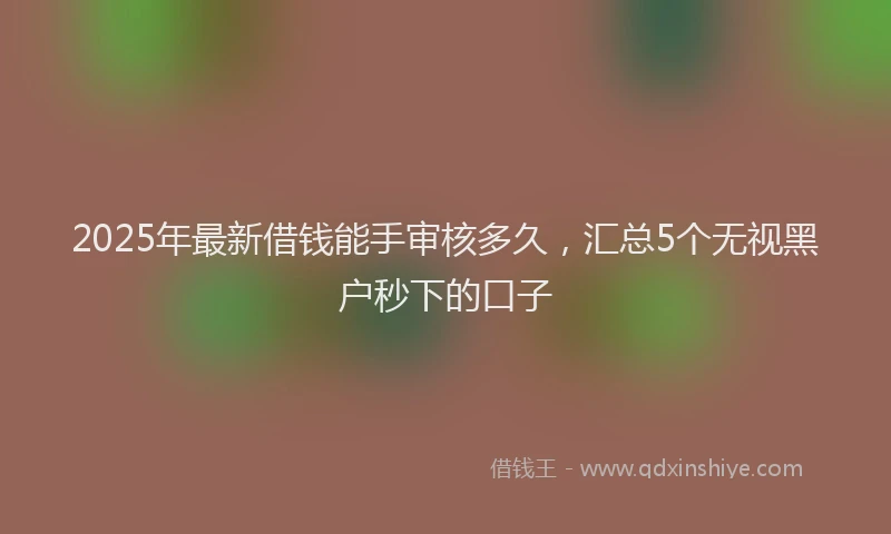 2025年最新借钱能手审核多久，汇总5个无视黑户秒下的口子
