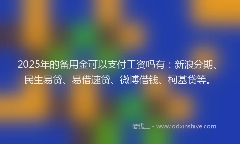 2025年的备用金可以支付工资吗有：新浪分期、民生易贷、易借速贷、微博借钱、柯基贷等。