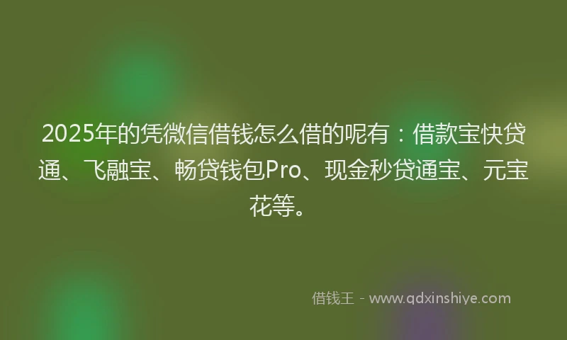2025年的凭微信借钱怎么借的呢有：借款宝快贷通、飞融宝、畅贷钱包Pro、现金秒贷通宝、元宝花等。