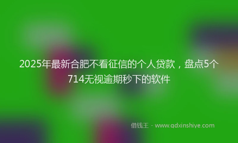 2025年最新合肥不看征信的个人贷款，盘点5个714无视逾期秒下的软件