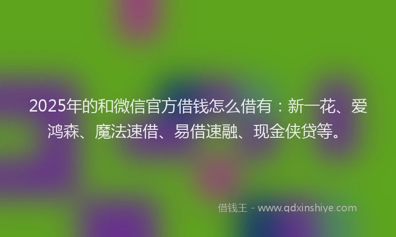 2025年的和微信官方借钱怎么借有：新一花、爱鸿森、魔法速借、易借速融、现金侠贷等。