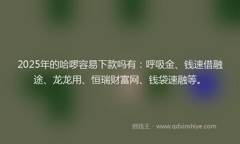 2025年的哈啰容易下款吗有：呼吸金、钱速借融途、龙龙用、恒瑞财富网、钱袋速融等。