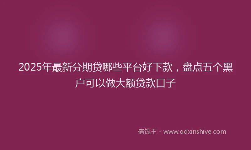 2025年最新分期贷哪些平台好下款，盘点五个黑户可以做大额贷款口子