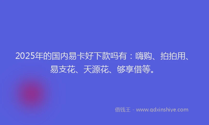 2025年的国内易卡好下款吗有：嗨购、拍拍用、易支花、天源花、够享借等。
