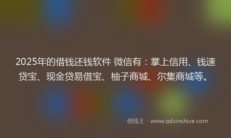 2025年的借钱还钱软件 微信有：掌上信用、钱速贷宝、现金贷易借宝、柚子商城、尔集商城等。