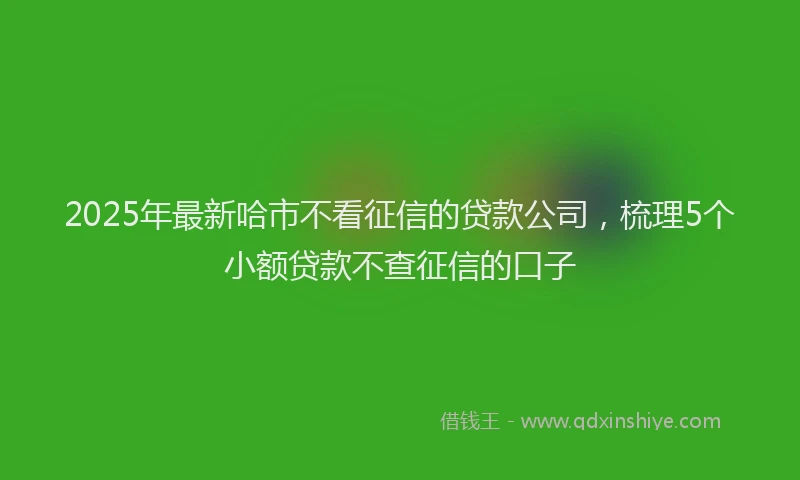 2025年最新哈市不看征信的贷款公司，梳理5个小额贷款不查征信的口子