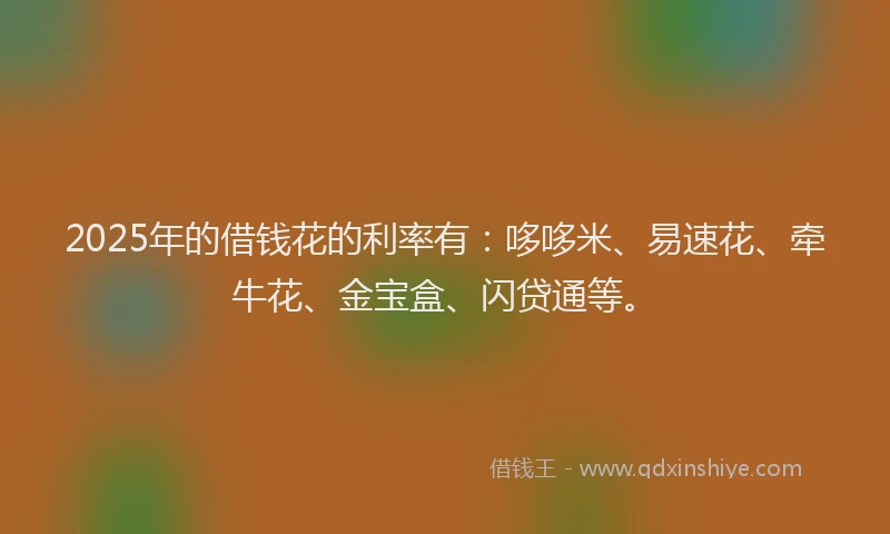 2025年的借钱花的利率有：哆哆米、易速花、牵牛花、金宝盒、闪贷通等。