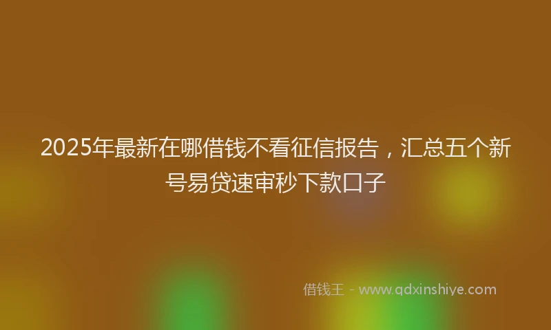2025年最新在哪借钱不看征信报告，汇总五个新号易贷速审秒下款口子