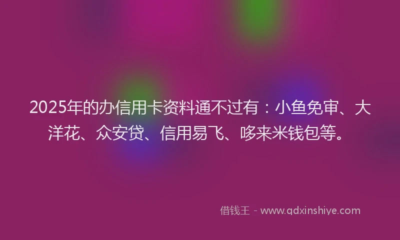 2025年的办信用卡资料通不过有：小鱼免审、大洋花、众安贷、信用易飞、哆来米钱包等。