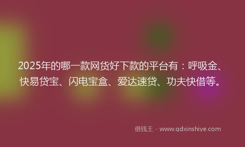 2025年的哪一款网货好下款的平台有：呼吸金、快易贷宝、闪电宝盒、爱达速贷、功夫快借等。