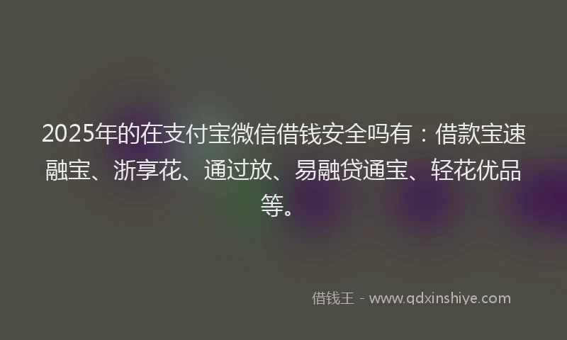 2025年的在支付宝微信借钱安全吗有：借款宝速融宝、浙享花、通过放、易融贷通宝、轻花优品等。