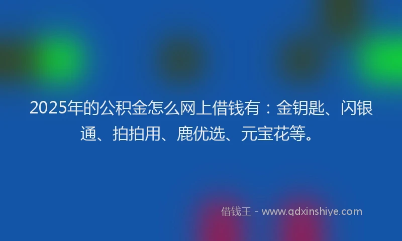 2025年的公积金怎么网上借钱有：金钥匙、闪银通、拍拍用、鹿优选、元宝花等。