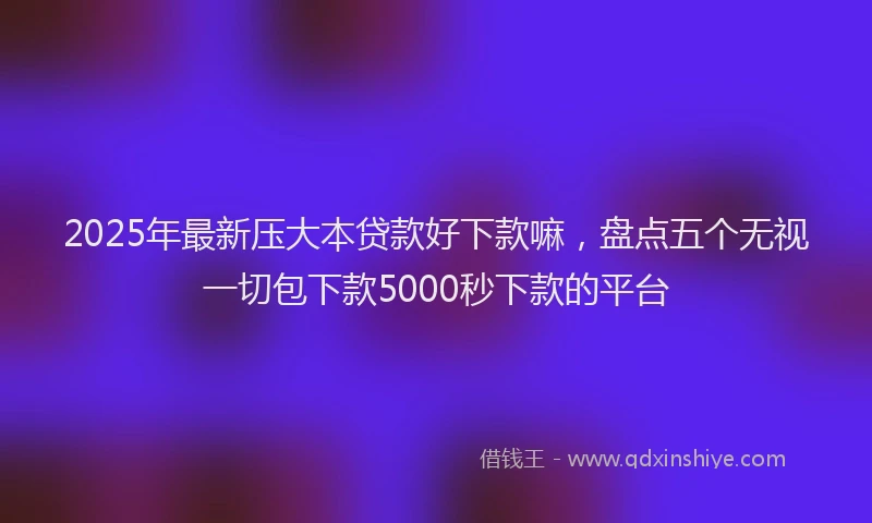 2025年最新压大本贷款好下款嘛，盘点五个无视一切包下款5000秒下款的平台