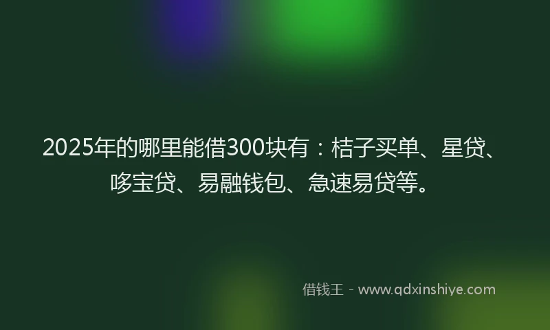 2025年的哪里能借300块有：桔子买单、星贷、哆宝贷、易融钱包、急速易贷等。