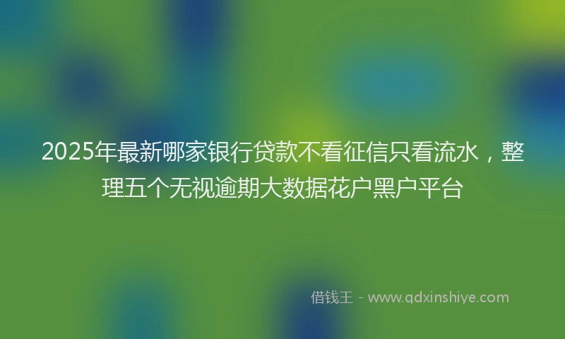 2025年最新哪家银行贷款不看征信只看流水，整理五个无视逾期大数据花户黑户平台