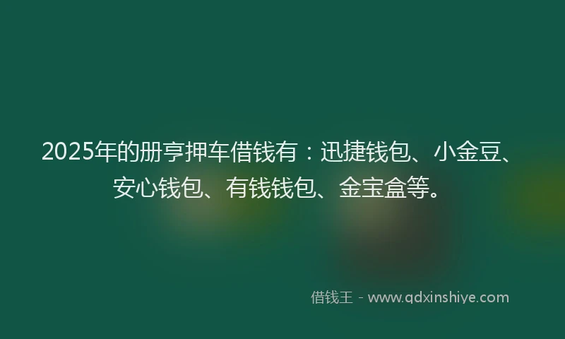 2025年的册亨押车借钱有：迅捷钱包、小金豆、安心钱包、有钱钱包、金宝盒等。