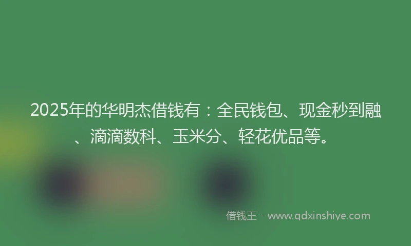 2025年的华明杰借钱有：全民钱包、现金秒到融、滴滴数科、玉米分、轻花优品等。