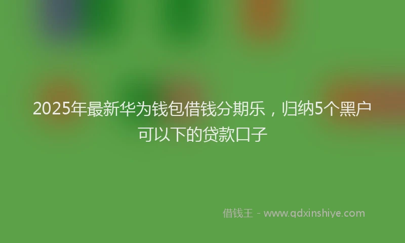 2025年最新华为钱包借钱分期乐，归纳5个黑户可以下的贷款口子
