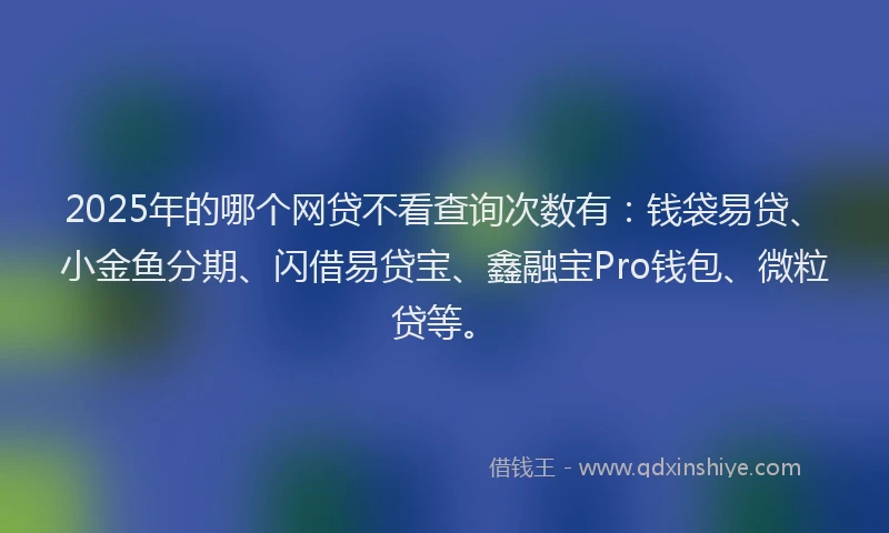 2025年的哪个网贷不看查询次数有：钱袋易贷、小金鱼分期、闪借易贷宝、鑫融宝Pro钱包、微粒贷等。