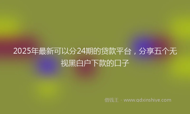 2025年最新可以分24期的贷款平台，分享五个无视黑白户下款的口子