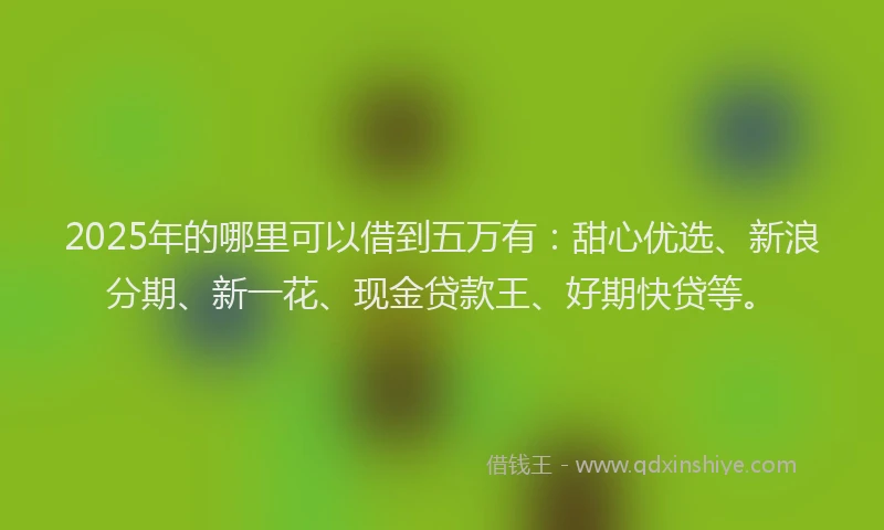 2025年的哪里可以借到五万有：甜心优选、新浪分期、新一花、现金贷款王、好期快贷等。