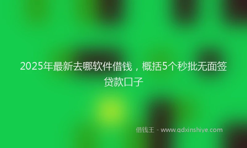 2025年最新去哪软件借钱，概括5个秒批无面签贷款口子