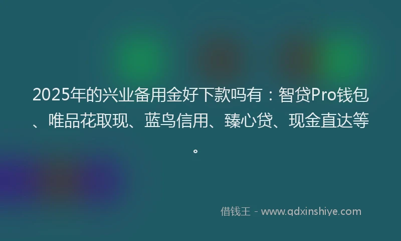 2025年的兴业备用金好下款吗有：智贷Pro钱包、唯品花取现、蓝鸟信用、臻心贷、现金直达等。