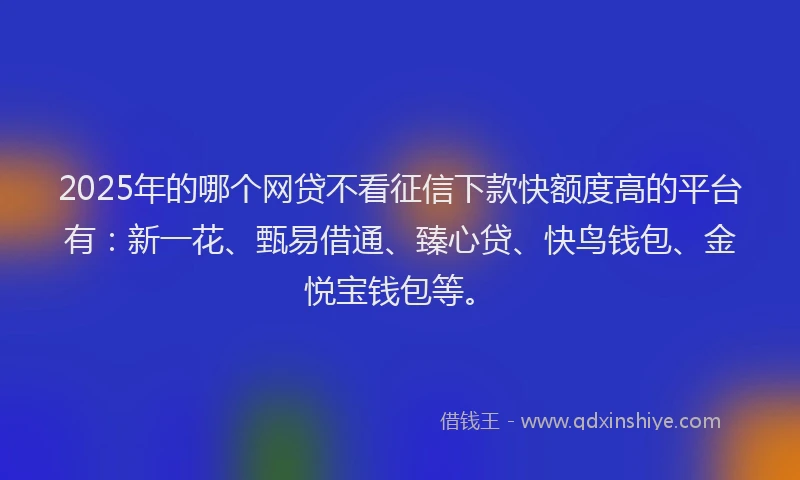 2025年的哪个网贷不看征信下款快额度高的平台有：新一花、甄易借通、臻心贷、快鸟钱包、金悦宝钱包等。