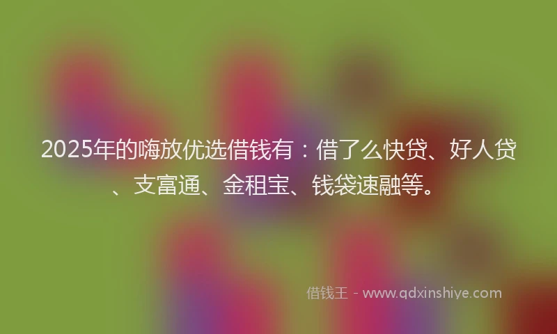 2025年的嗨放优选借钱有：借了么快贷、好人贷、支富通、金租宝、钱袋速融等。