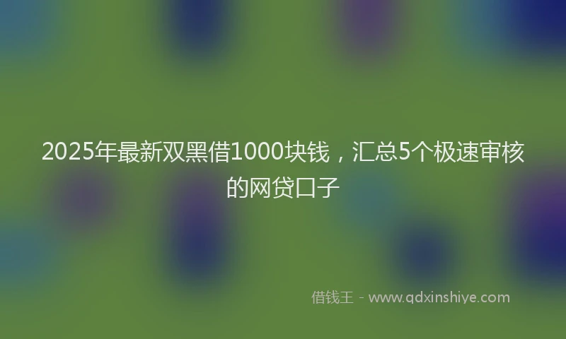 2025年最新双黑借1000块钱，汇总5个极速审核的网贷口子