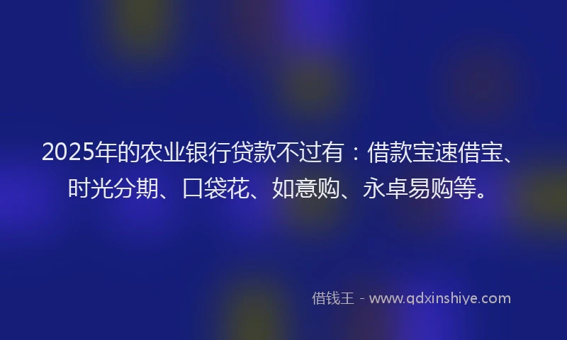 2025年的农业银行贷款不过有：借款宝速借宝、时光分期、口袋花、如意购、永卓易购等。