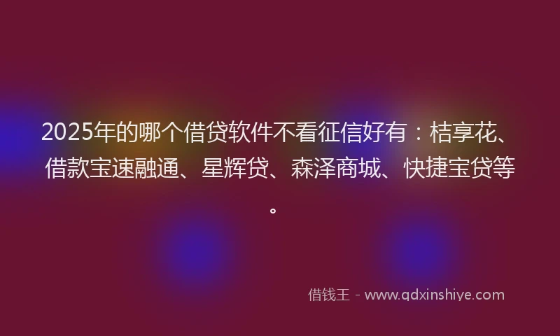 2025年的哪个借贷软件不看征信好有：桔享花、借款宝速融通、星辉贷、森泽商城、快捷宝贷等。