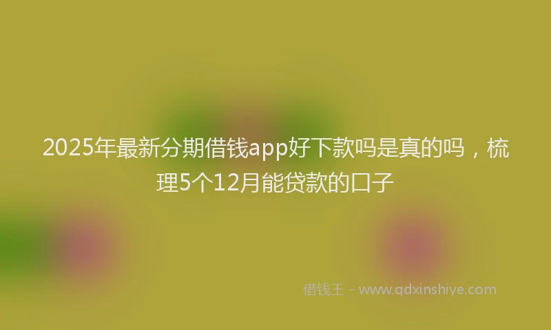 2025年最新分期借钱app好下款吗是真的吗，梳理5个12月能贷款的口子