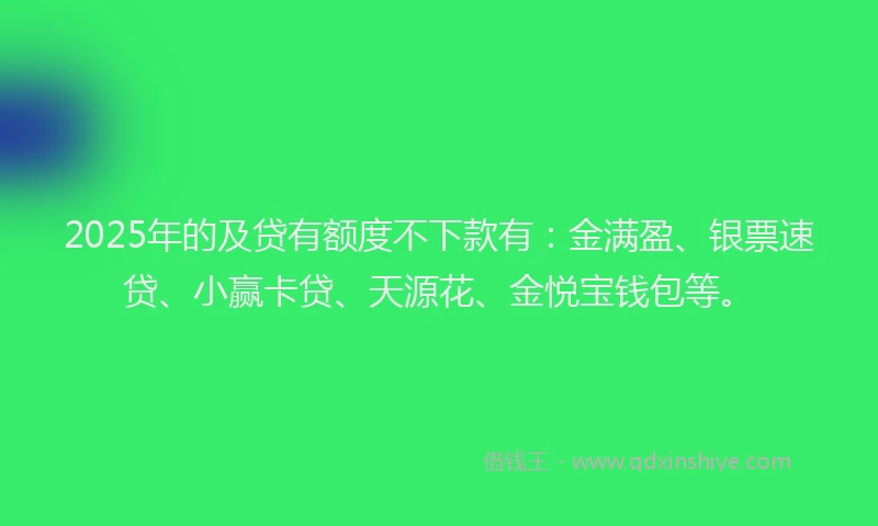 2025年的及贷有额度不下款有：金满盈、银票速贷、小赢卡贷、天源花、金悦宝钱包等。