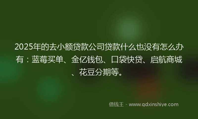 2025年的去小额贷款公司贷款什么也没有怎么办有：蓝莓买单、金亿钱包、口袋快贷、启航商城、花豆分期等。