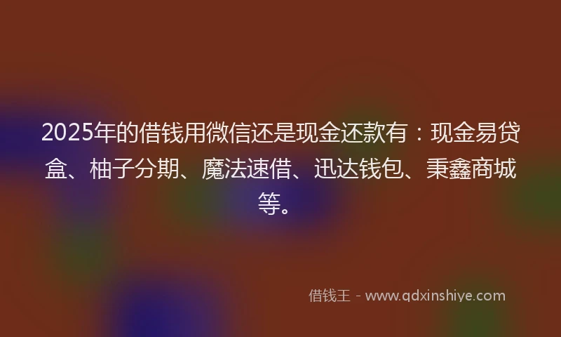 2025年的借钱用微信还是现金还款有：现金易贷盒、柚子分期、魔法速借、迅达钱包、秉鑫商城等。