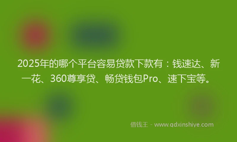 2025年的哪个平台容易贷款下款有：钱速达、新一花、360尊享贷、畅贷钱包Pro、速下宝等。
