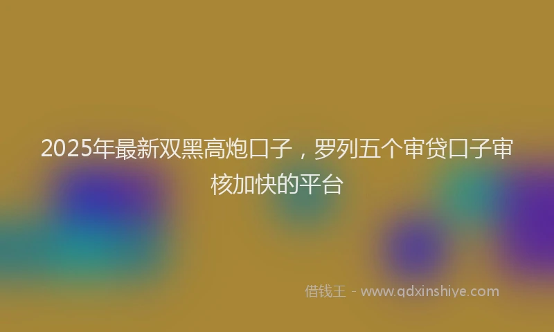 2025年最新双黑高炮口子，罗列五个审贷口子审核加快的平台