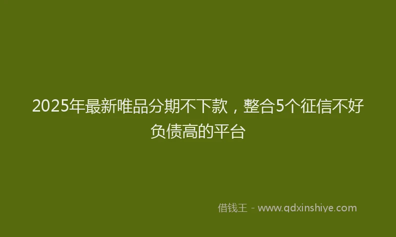 2025年最新唯品分期不下款，整合5个征信不好负债高的平台
