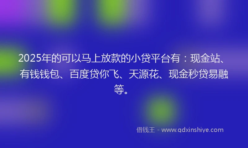 2025年的可以马上放款的小贷平台有：现金站、有钱钱包、百度贷你飞、天源花、现金秒贷易融等。