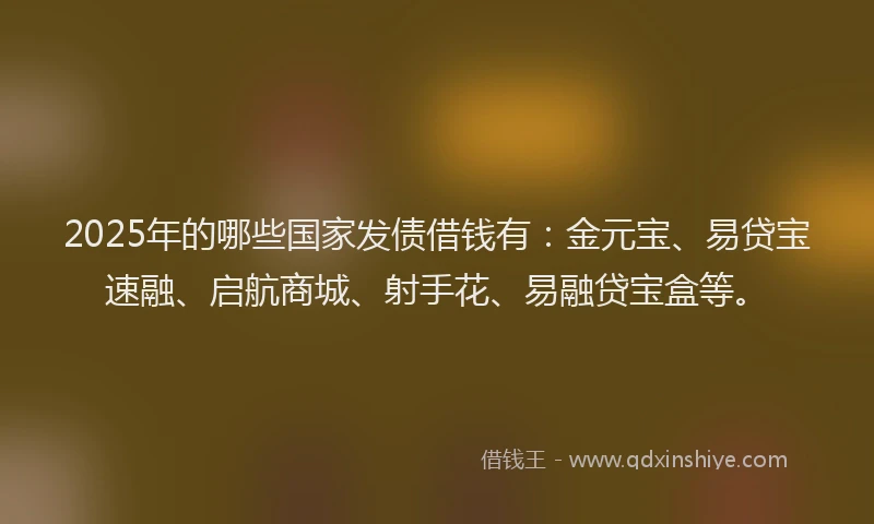 2025年的哪些国家发债借钱有：金元宝、易贷宝速融、启航商城、射手花、易融贷宝盒等。
