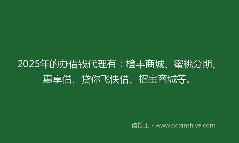 2025年的办借钱代理有：橙丰商城、蜜桃分期、惠享借、贷你飞快借、招宝商城等。