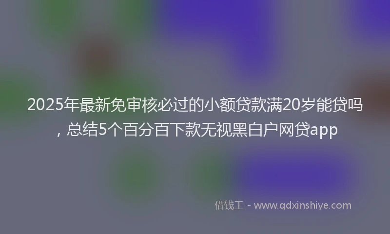 2025年最新免审核必过的小额贷款满20岁能贷吗，总结5个百分百下款无视黑白户网贷app