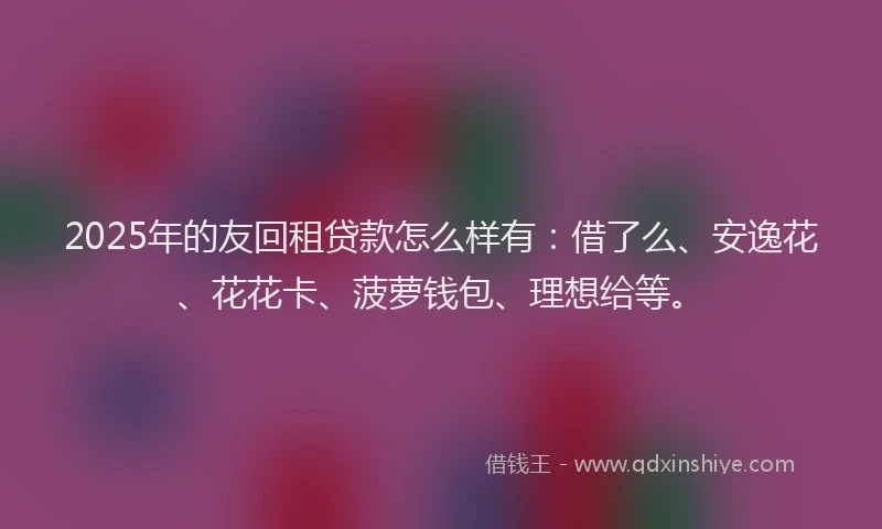 2025年的友回租贷款怎么样有：借了么、安逸花、花花卡、菠萝钱包、理想给等。