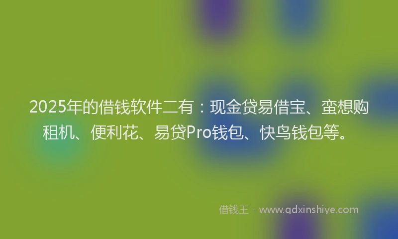 2025年的借钱软件二有：现金贷易借宝、蛮想购租机、便利花、易贷Pro钱包、快鸟钱包等。